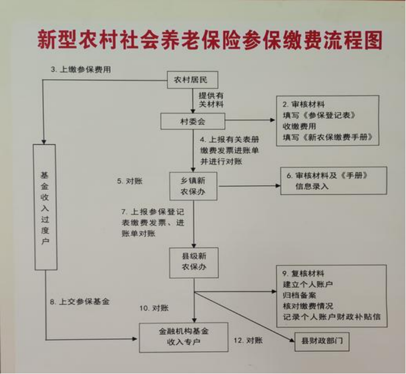 阜新农村医保和社保有什么区别(农村医保跟社保的区别)