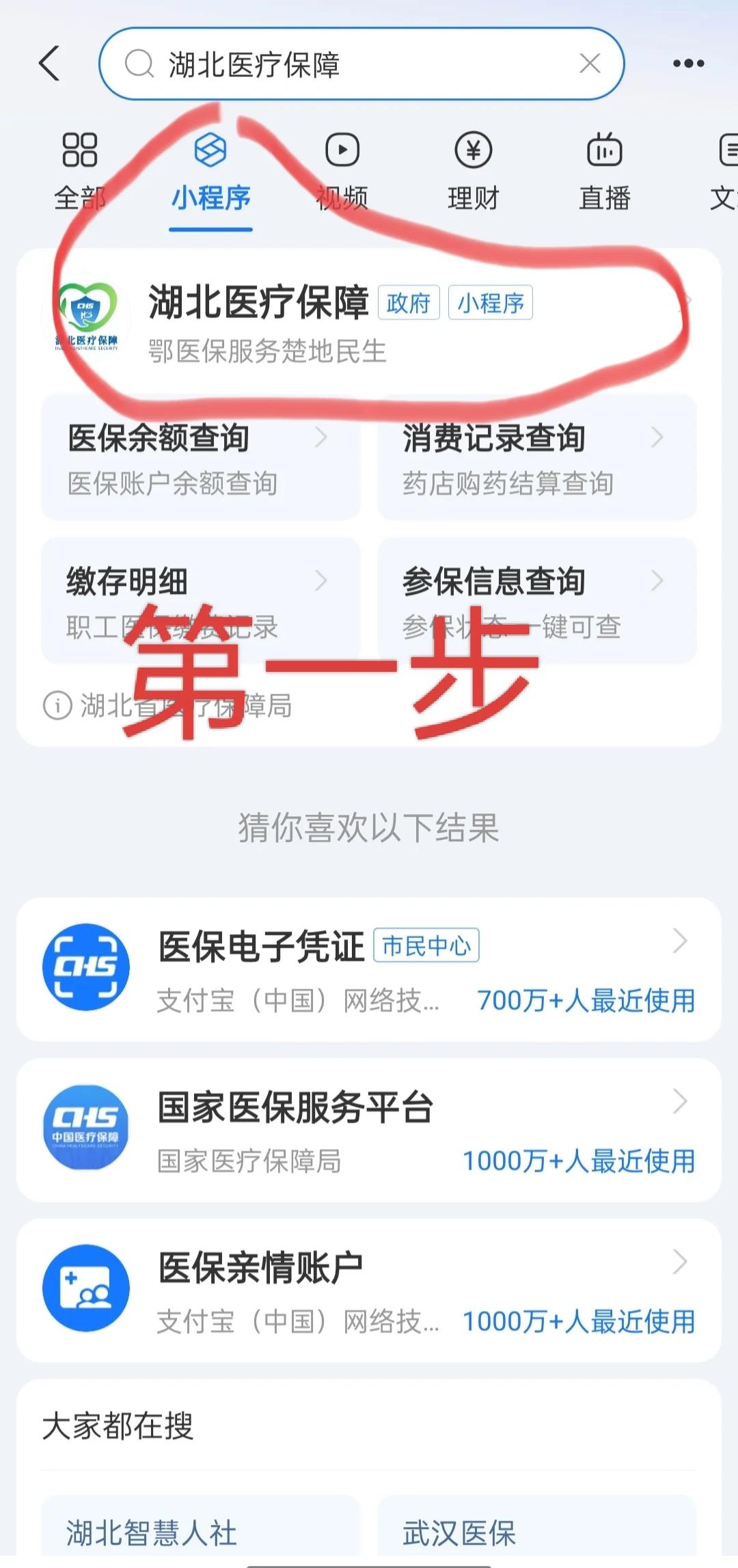 阜新医保网上怎么缴费(孩子居民医保网上怎么缴费)